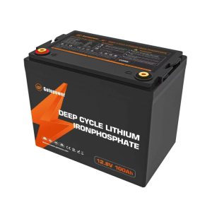 Rechargeable LiFePO4 Battery 12.8V100Ah